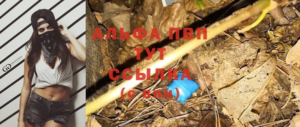 амф Богородицк