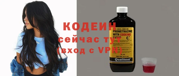 spice Богородск