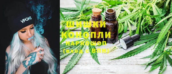 spice Богородск
