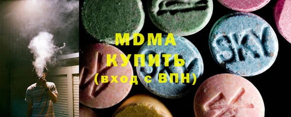 spice Богородск