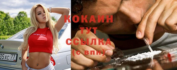 spice Богородск