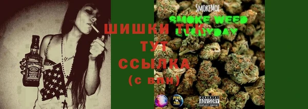 spice Богородск