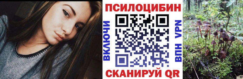 Галлюциногенные грибы Psilocybe  Купить закладки  Каменка 